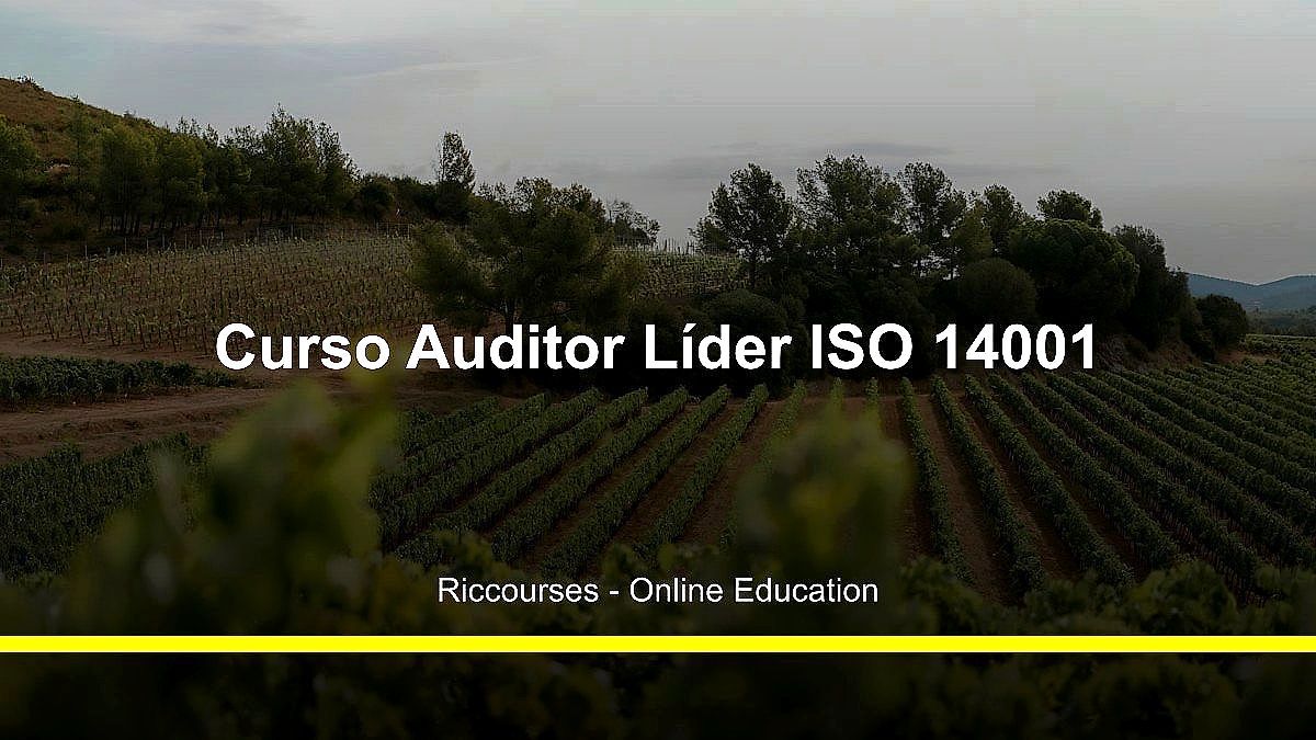 Curso Auditor Líder ISO 14001